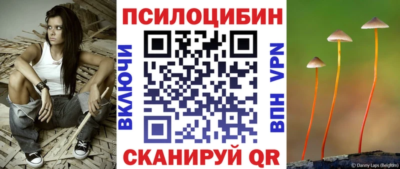 Галлюциногенные грибы GOLDEN TEACHER  купить наркоту  Алагир 